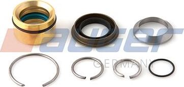 Ремонтный комплект, опрокидывающий цилиндр Auger. Артикул 57301