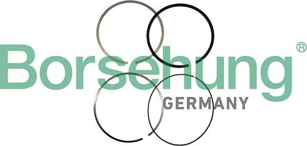 Поршневые кольца Borsehung. Артикул B10361