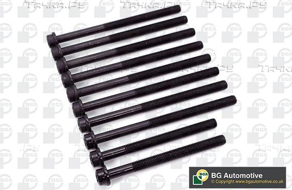 Комплект болтов ГБЦ BGA для Ford Fiesta IV 2000-2003. Артикул BK4302
