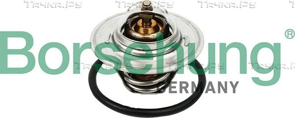Термостат Borsehung для SEAT Leon II 2005-2013. Артикул B13140