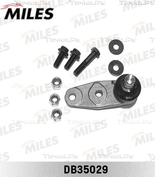 Шаровая опора Miles передняя правая/левая нижняя для Nissan Kubistar X76 2003-2026. Артикул DB35029