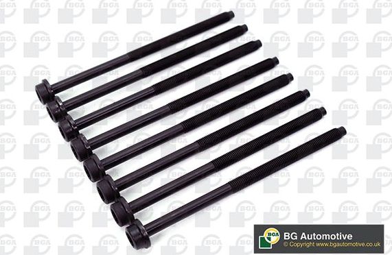 Комплект болтов ГБЦ BGA для Volkswagen Fox I 2005-2011. Артикул BK3365