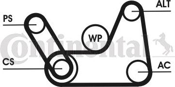 Приводной ремень поликлиновой с роликами (комплект) ContiTech. Артикул 6PK1019 ELAST T1