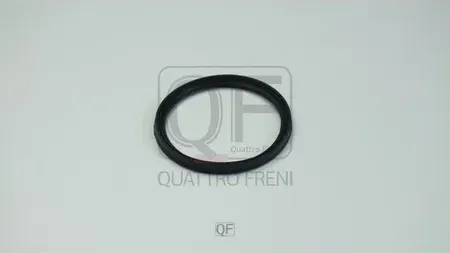 КОЛЬЦО УПЛОТНИТЕЛЬНОЕ ТУРБОКОМПРЕССОРА (Quattro Freni). Артикул QF76A00048