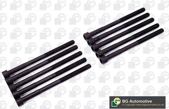 Комплект болтов ГБЦ BGA для Toyota Ipsum II (M20) 2001-2009. Артикул BK3319
