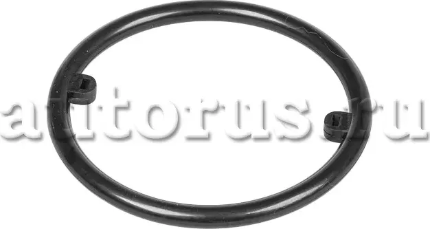 Прокладка масляного радиатора (Ganz). Артикул GIE11125