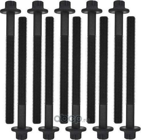 Комплект болтов ГБЦ (Zikmar). Артикул Z16551R