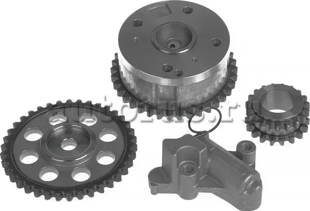 Ремкомплект цепи ГРМ (Ganz). Артикул GIE37399