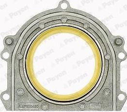 Сальник коленвала Payen (PTFE (Polytetrafluorethylen)) внутренний для MG ZR 2001-2005. Артикул LK5002
