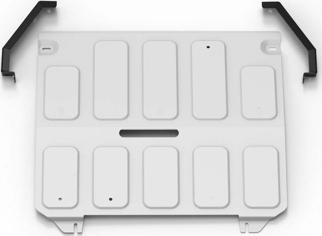 Защита алюминиевая Rival для электродвигателя Evolute i-Joy 2022-2026. Артикул 333.0604.1