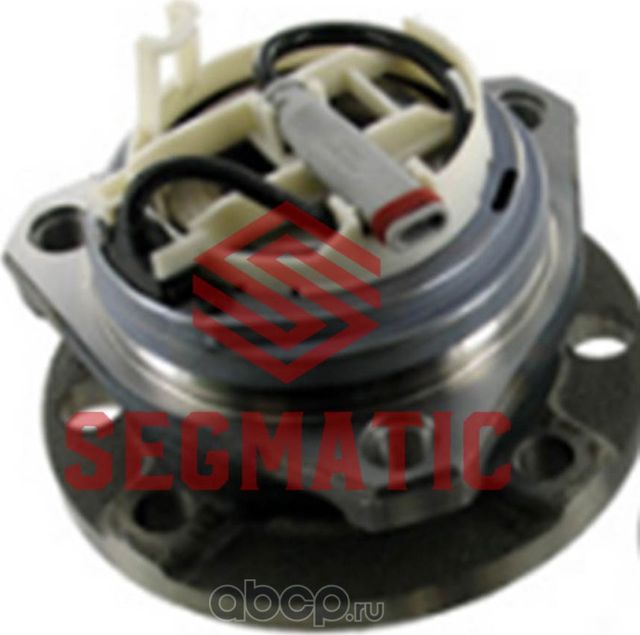 Ступица колеса (Segmatic). Артикул SGWH30204091