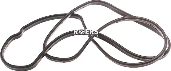 Прокладка клапанной крышки (Roers Parts). Артикул RP112130P010