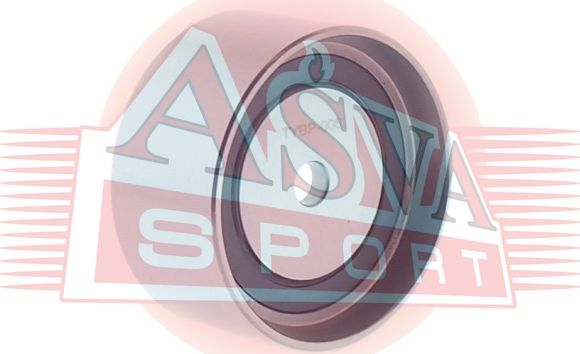 Натяжной ролик (натяжитель) приводного клинового ремня Asva. Артикул TYBP-006