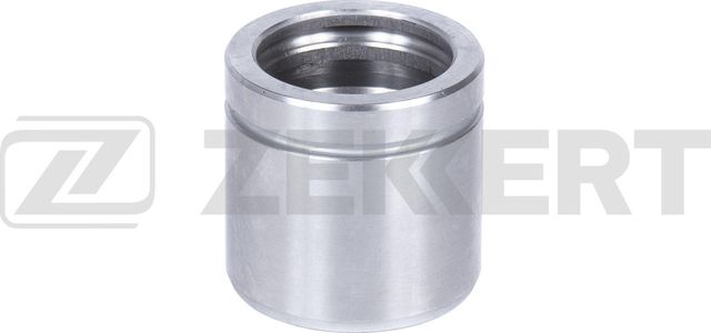 Поршень тормозного суппорта Zekkert. Артикул BR-1609