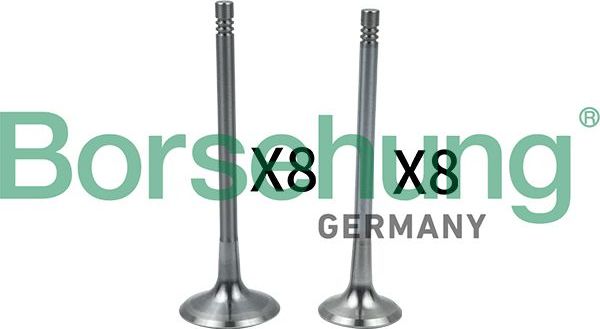 Впускной клапан Borsehung. Артикул B18634
