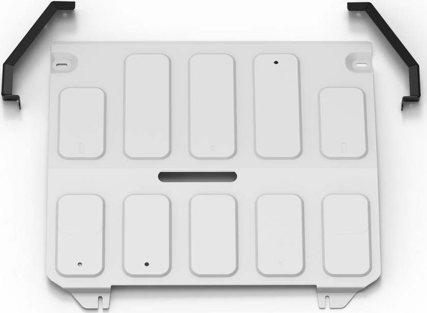 Защита алюминиевая Rival для электродвигателя Evolute i-Joy 2022-2026. Артикул 333.0604.1