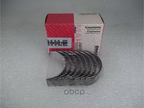 Вкладыши шатунные Mahle. Артикул 029 PS 10248 000