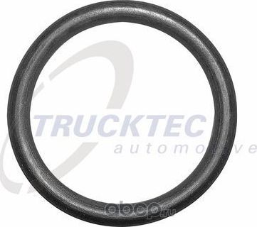 КОЛЬЦО УПЛОТНИТЕЛЬНОЕ ПАТРУБКА СИСТЕМЫ ОХЛАЖДЕНИЯ! 24 X 3/ AUDI (Trucktec Automotive) Trucktec Automotive. Артикул 08.10.039