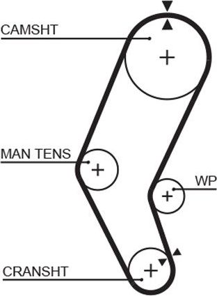Ремень ГРМ Gates (Полихлоропрен (неопрен)). Артикул 5401