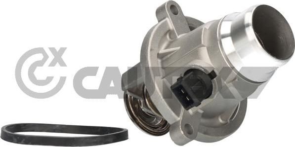 Термостат BMW 5 Cautex (Металл). Артикул 756840