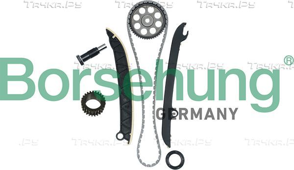 Цепь ГРМ Borsehung для Volkswagen Polo V 2009-2026. Артикул B16297