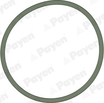 Прокладка впускного коллектора Payen для SEAT Mii 2011-2019. Артикул JD5228