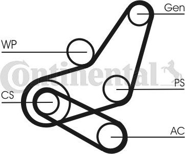 Приводной ремень поликлиновой с роликами (комплект) ContiTech для Ford Focus III 2010-2019. Артикул 6PK1059 ELAST T2