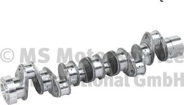 Коленвал BF Germany. Артикул 20050913000