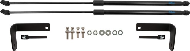 Амортизаторы (упоры) капота Arbori для Mitsubishi Outlander IV 2021-2026. Артикул ARBORI.HD.029112