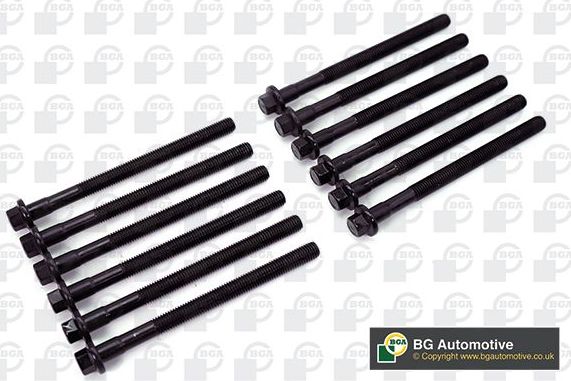 Комплект болтов ГБЦ BGA для Volvo XC90 I 2002-2014. Артикул BK5341