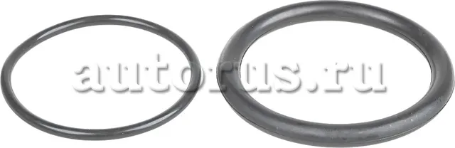Комплектпрокладок дросельной заслонки (2шт) RENAULT/LADA Largus 16кл GANZ GIE114 Ganz. Артикул GIE11407