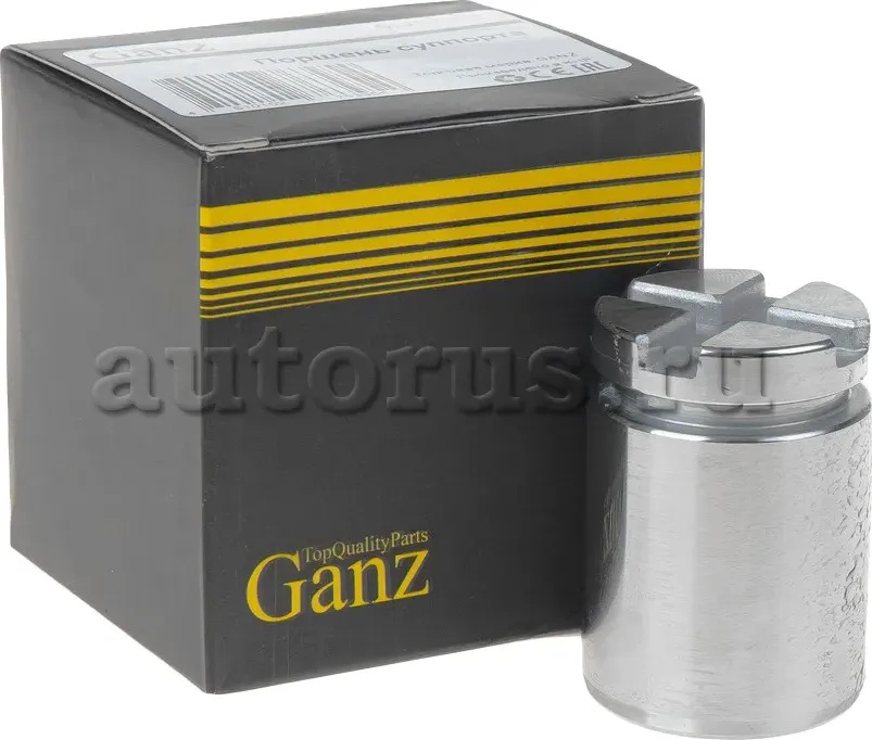 Поршень заднего тормозного суппорта (Ganz). Артикул GIJ19021