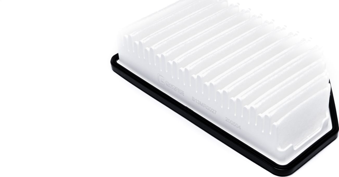 Воздушный фильтр Cworks. Артикул B13MR0027