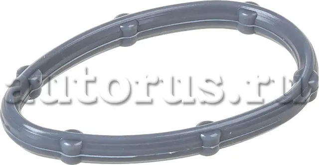 Прокладка впускного коллектора (Ganz). Артикул GIE11145