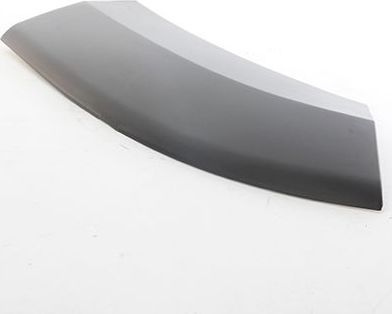 Подкрылок BSG (полимерный материал) передний левый для Fiat Ducato III 2006-2026. Артикул BSG 25-922-029