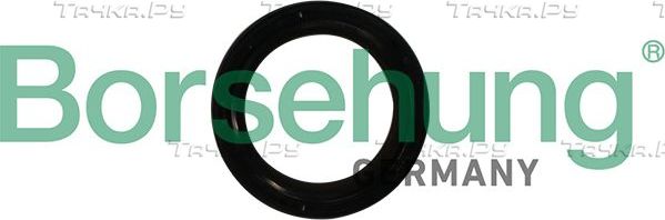 Сальник коленвала Borsehung для SEAT Mii 2011-2019. Артикул B12179