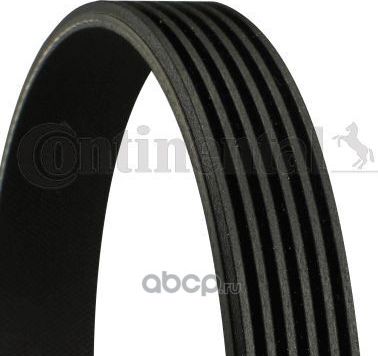 Ремень поликлиновой 6 PK 1733 MV Continental (VDO). Артикул 6PK1733
