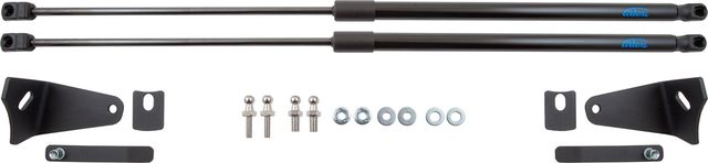 Амортизаторы (упоры) капота Arbori для Hyundai Creta II 2021-2026. Артикул ARBORI.HD.016101