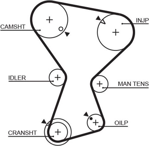 Ремень ГРМ Gates (Полихлоропрен (неопрен)). Артикул 5072